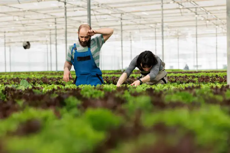 Landwirtschaft & Gartenbau market demand in Germany