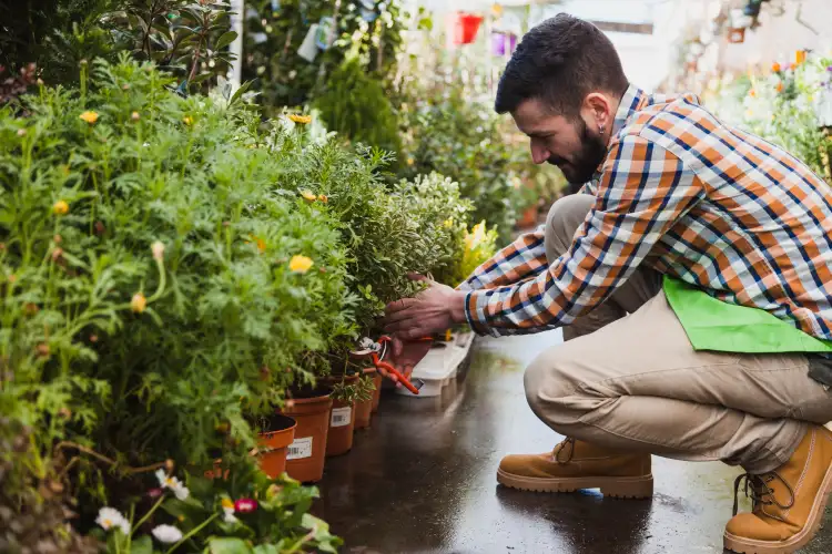 Agricultural worker tending plants in a greenhouse