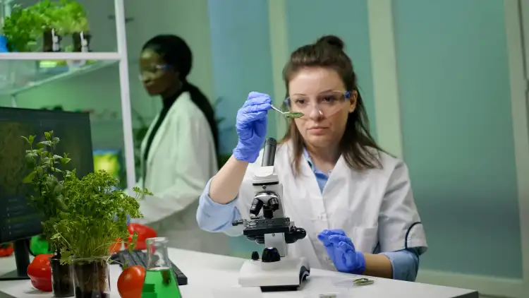 Deutschlands Forschungs- und Wissenschaftsbasis besetzen